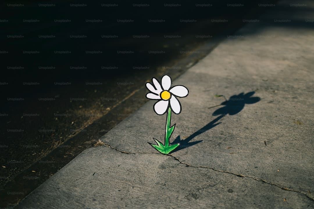 俄乌抵触最新!普京表态:与乌克兰宽和不可避免,仅仅时间问题